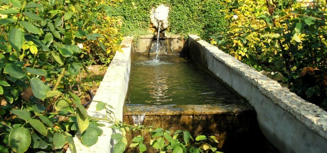 Ботаническа градина в Балчик