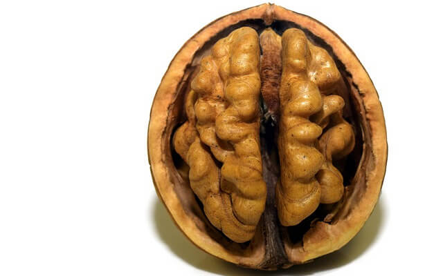 Орехите - с какво са полезни за организма ни?
